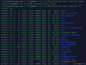 东方通TongWeb7.0.4.9M4部署SuperMap iServer 11.2.1