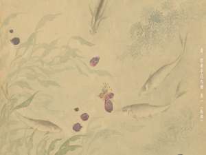 区块链blog1__合作与信任