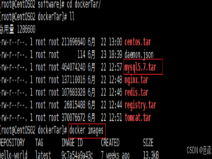 【Linux 篇】Docker 容器星河与镜像灯塔：Linux 系统下解锁应用部署奇幻征程_linuxdocker容器镜像推荐