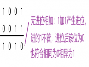 【Leetcode】位运算之只出现一次的数字I、III_leecode位运算与数学