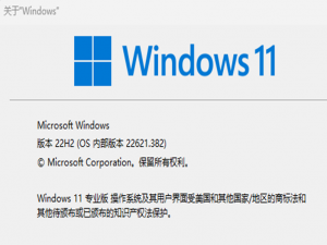 Windows11+VS2022搭建(Driver)驱动开发环境(一)_vs2022驱动开发环境配置