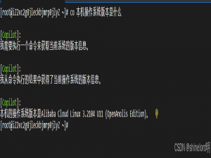 【实践】操作系统智能助手OS Copilot新功能测评