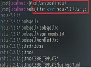 Linux离线搭建Redis (centos7)详细操作步骤_centos7 离线安装redis