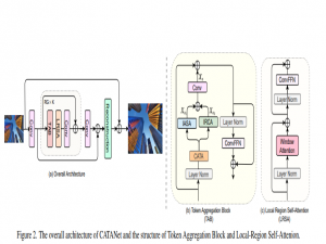 YOLOV11改进策略【最新注意力机制】CVPR2025局部区域注意力机制LRSA-增强局部区域特征之间的交互_lrsa注意力机制