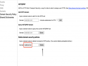 Chrome/Edge中http被强转成https问题