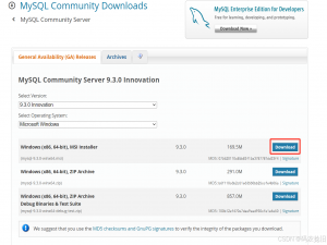 MySQL 9.3 超详细下载安装教程（Windows版）附图文说明_mysql9.3.0安装教程