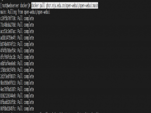open webui docker安装方法_openwebui国内镜像