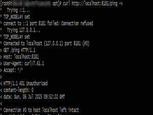 InfluxDB 3 安装教程（适用于 Linux 系统）_influxdb 3 core ubuntu安装