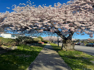 SQL 多表查询：数据整合与分析的强大工具_sql多表联合查询