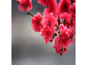 Unity UnityWebRequest高级操作