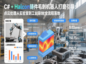 【HALCON工业视觉应用探索】02. C# + Halcon铸件毛刺机器人打磨引导：点云处理从实验室到工业现场的全流程落地