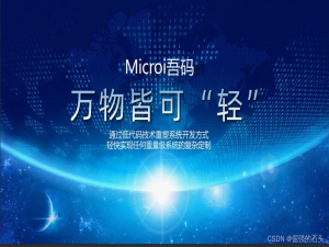 【Microi 吾码】：低代码驱动，企业级软件开发的得力助手_吾码crm