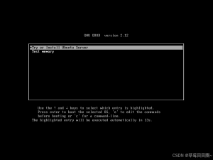 安装Ubuntu24.04服务器版本
