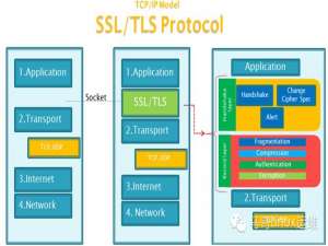 【网络】SSL/TLS介绍