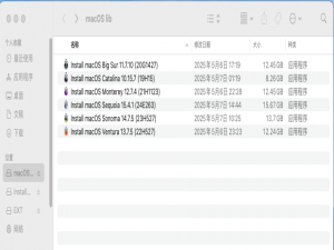 如何制作多个 MacOS 安装镜像的启动U盘_制作macos启动u盘