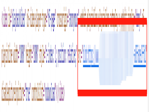 如何下载链接为blob类型的视频,video 标签 src:blob 链接转下载MP4_blob视频下载