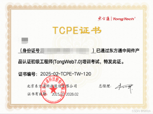 拥抱国产化，轻松掌握东方通 TongWeb 中间件的部署与管理技巧，小支同学从入门到认证，一步一个脚印！[特殊字符]_东方通中间件
