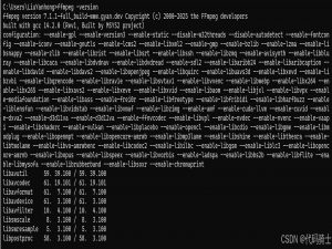 基于whisper和ffmpeg语音转文本小程序_美化路径.txt