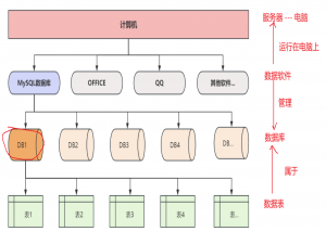 MySQL从入门到精通超详细版本，看这一篇就够了！_mysql教程