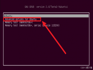 ubuntu 24.04 升级后网卡丢失的原因及解决方法_ubuntu网卡不见了