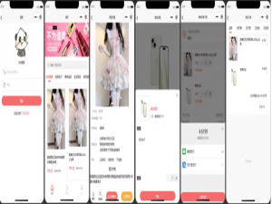 基于java 开发在线商城小程序