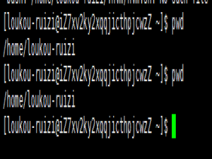 Linux学习之认识Linux的基本指令