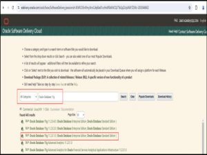 Oracle 的单体安装