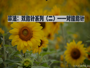 算法：双指针系列（二）——对撞指针