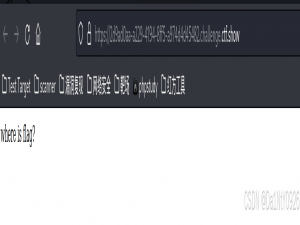[CTF夺旗赛] CTFshow Web1-14 详细过程保姆级教程~