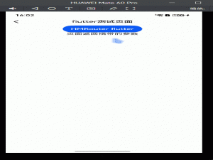 鸿蒙-flutter-使用FlutterEntry的路由管理和参数传递_上_flutter initialroute参数读取