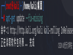 kali安装docker并且成功启动容器2024最新版（超详细！）