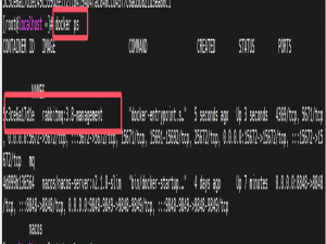 RabbitMQ的部署以及基础使用_rabbitmq默认用户名密码