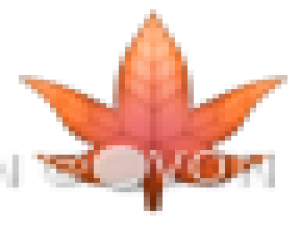 【HarmonyOS NEXT星河版开发实战】天气查询APP_鸿蒙next开发中查询天气