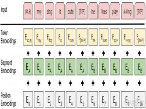Transformer实战——BERT模型详解与实现