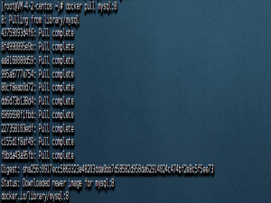 Docker 部署 MySQL 8 详细图文教程_docker mysql8