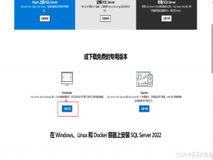 SQL Server（2022）安装及使用_sql server安装教程