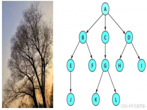 数据结构--二叉树的顺序实现（堆实现）_根据 叉树的抽象数据类型的定义,使  叉链表实现 个 叉树。  叉