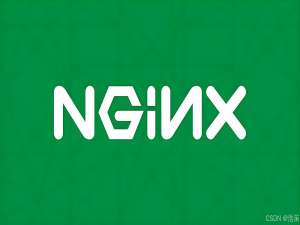 「Nginx漏洞复现与防御实战｜2024最新CVE解析（含目录遍历/文件解析绕过/反向代理漏洞EXP复现+安全加固方案）渗透测试工程师必看」_cve-2025-23419