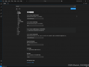 VScode字体大小调整——ctrl + 鼠标滚轮_vscode怎么设置ctrl加滚轮放大字体