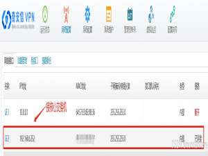 奇安信SSLVPN快速配置_奇安信vnp