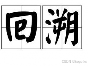 算法妙妙屋-------2..回溯的奇妙律动