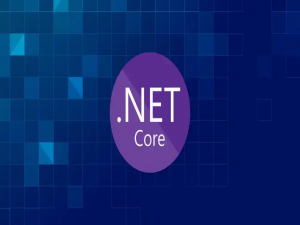 .NET 的 WebApi 项目必要可配置项都有哪些？