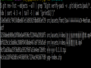 git仓库中.git 文件很大，怎么清理掉一部分_.git文件太大