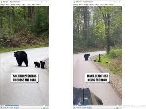 深度学习，如何去除视频字幕