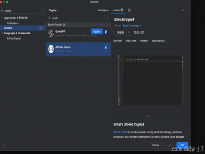 idea接入 AI 编程助手：Copilot_idea copilot