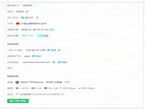 更好的组网——EasyTier自建服务器教程