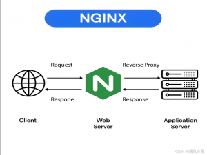 Nginx 运维实战：动静分离，加速静态资源访问！