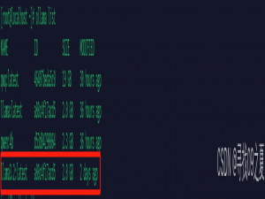【人工智能】：搭建本地AI服务——Ollama、LobeChat和Go语言的全方位实践指南_ollama lobechat