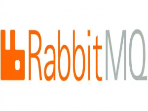 RabbitMQ 消息队列_rabbit是什么软甲
