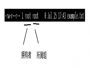 Linux权限的概念